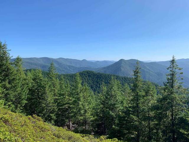 View of layered forested ridgelines from near the Barklow Mountain West lookout
