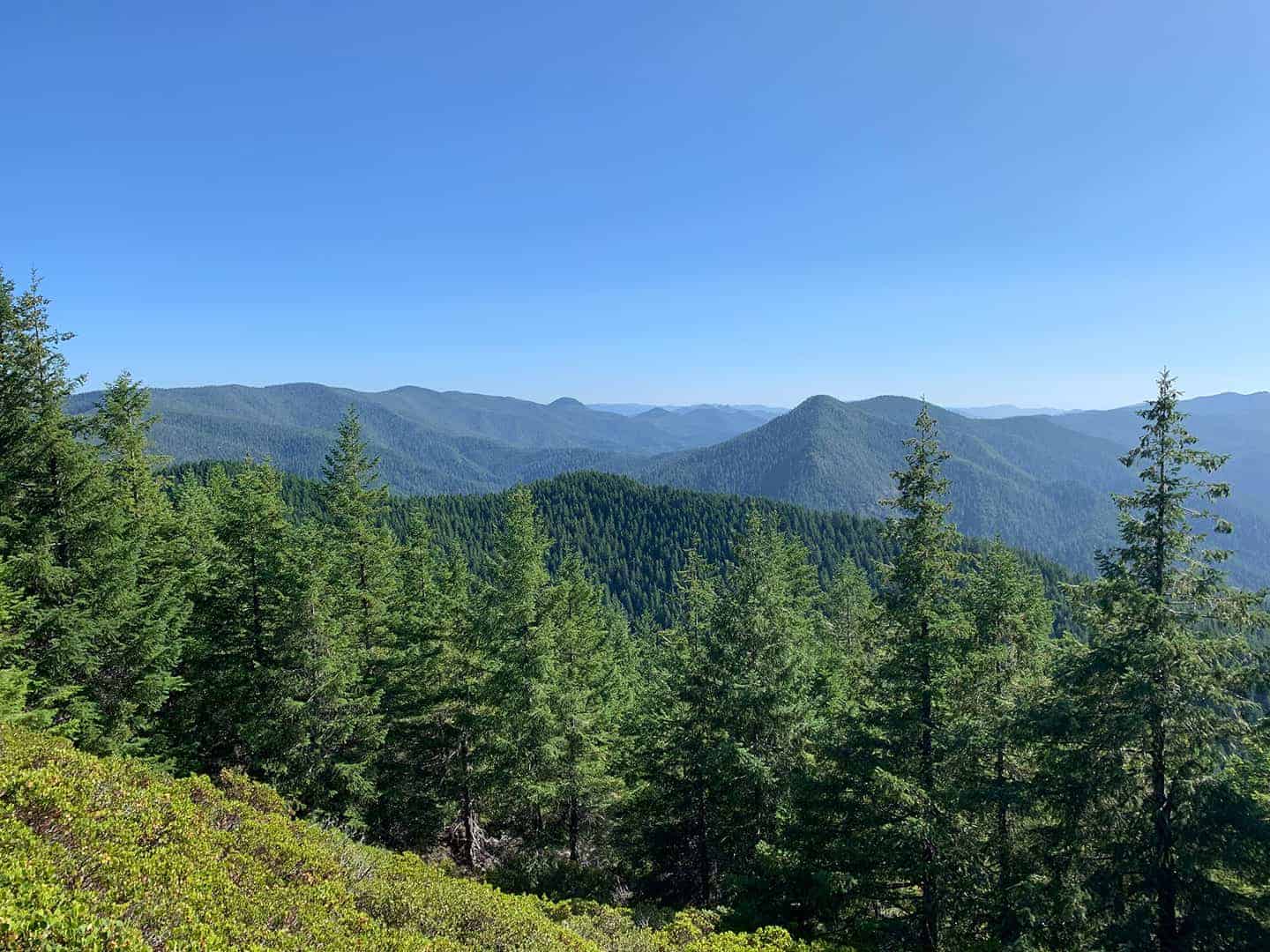 View of layered forested ridgelines from near the Barklow Mountain West lookout