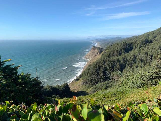 Coastal cliffs and forested ridgeline along Cape Sebastian, with a rocky island offshore