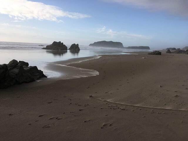 A low-tide beach with wave-worn rocks and offshore sea stacks reflected in the wet sand, dog paw prints leading across the shore