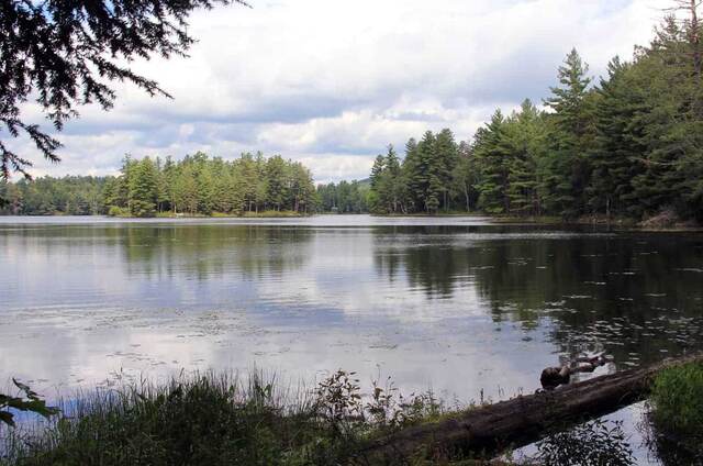 Lowell lake — Lowell Lake State Park, Londonderry VT
