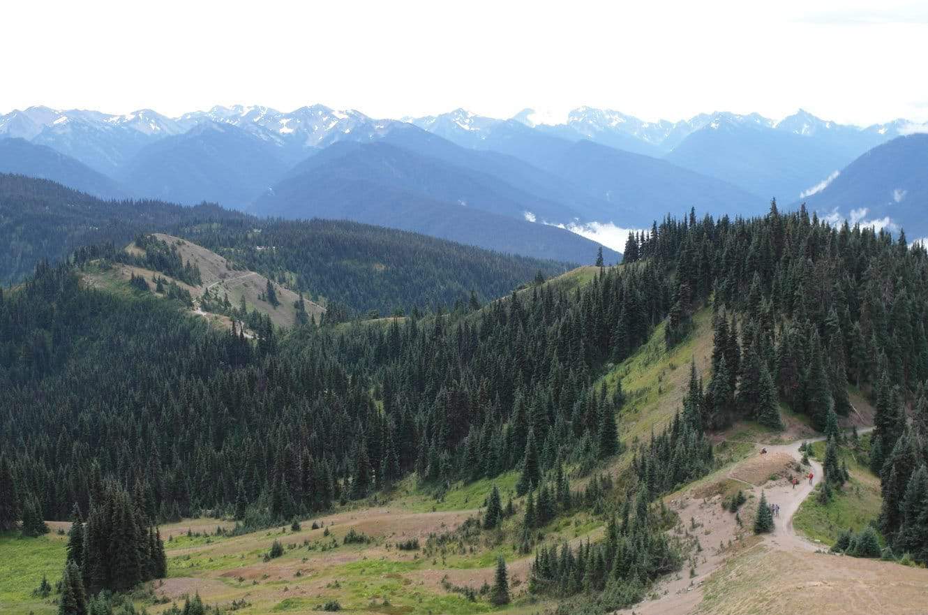 Olympic national park washington — Olympic National Park & Mount Rainier, WA