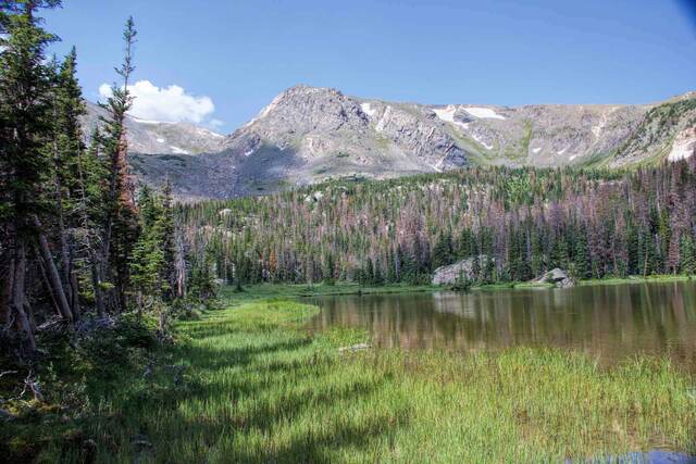 A clear mountain lake reflecting a rocky ridge, with a grassy marsh in the foreground and beetle-killed pines on the surrounding slopes