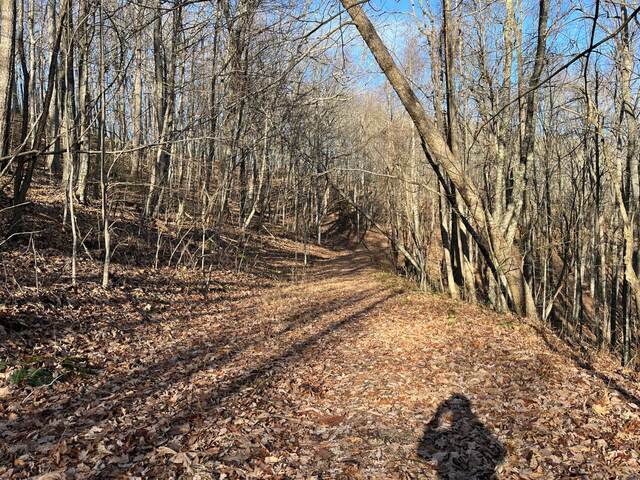 Pickem Mountain Loop, Norton VA