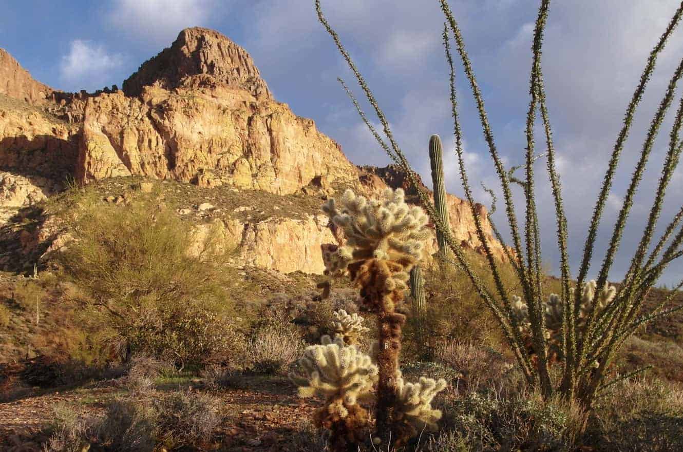 Picketpost — Picketpost Mountain, Superior AZ