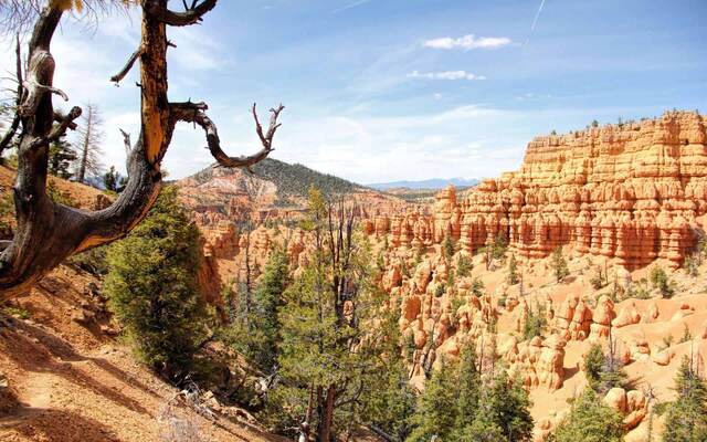 Red canyon — Red Canyon, Dixie National Forest, Utah