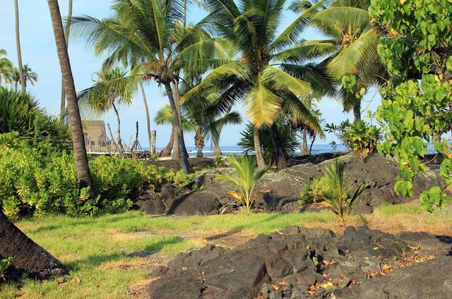 Hawaii — Turning 50 in Hawaii - Week 1