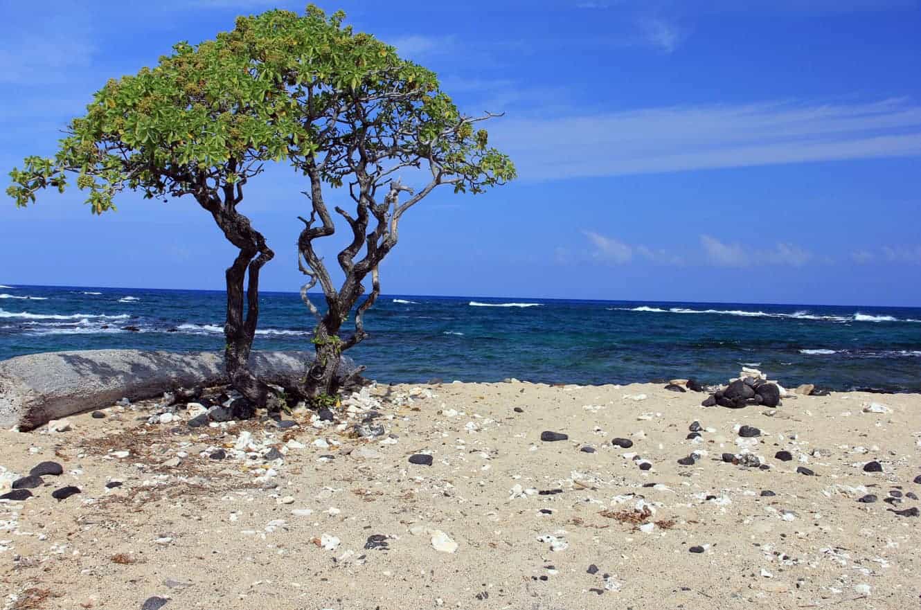 Hawaii — Turning 50 in Hawaii - Week 2