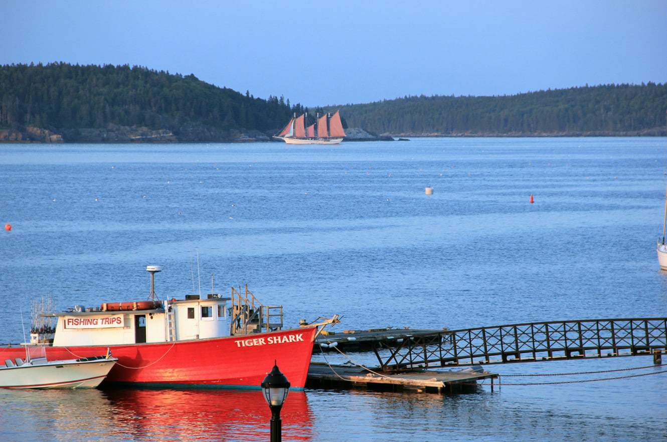 acadia-national-park-maine-07