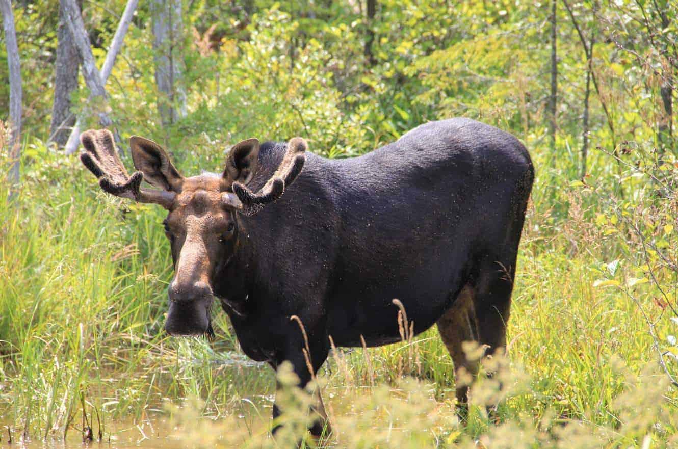 baxter-state-park-maine-05