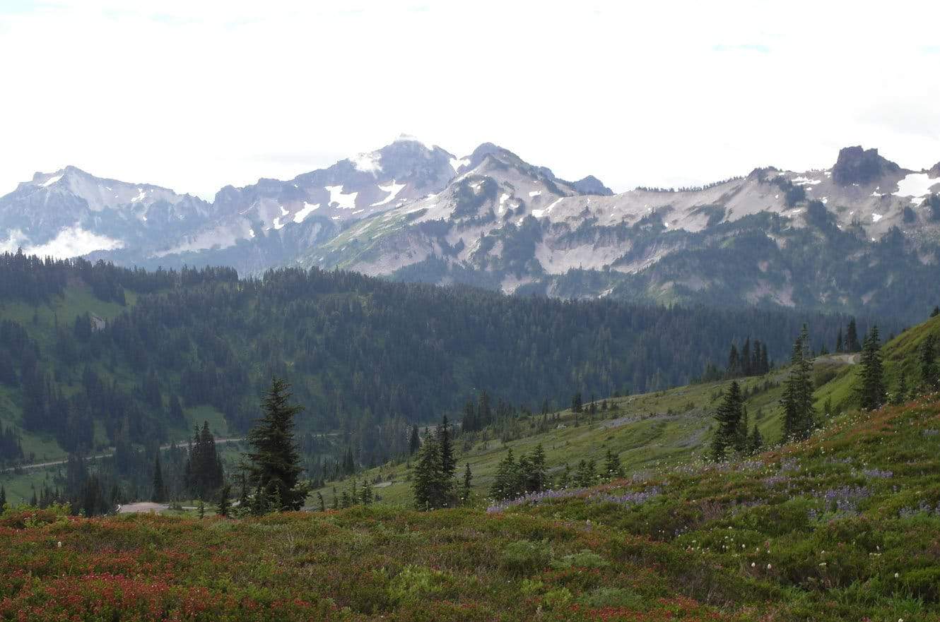 mt-rainier-washington-04
