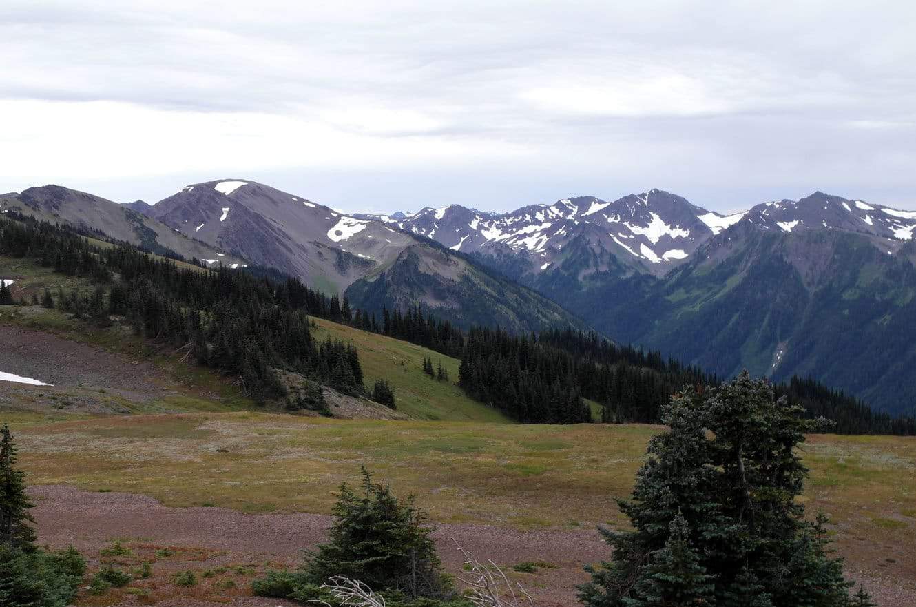 olympic-national-park-washington-12