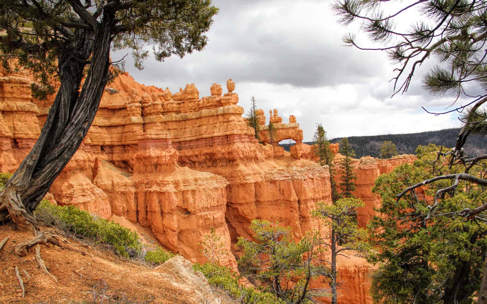 Proctor Canyon - Keyhole Arch