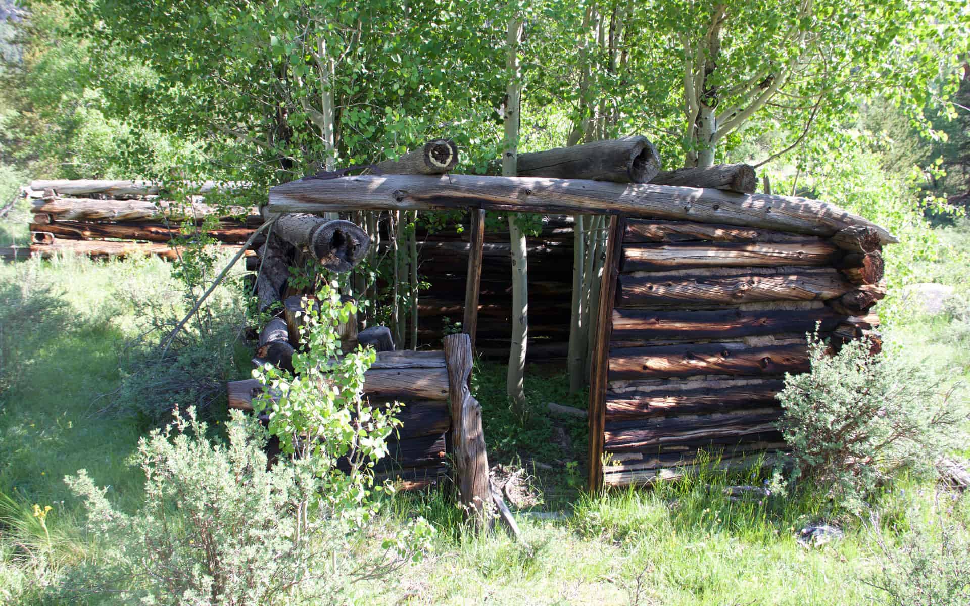 Old cabin at Davis Meadow